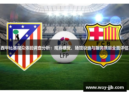 西甲比赛观众体验调查分析：观赛感受、场馆设施与服务质量全面评估