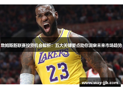 詹姆斯新联赛投资机会解析：五大关键要点助你洞察未来市场趋势