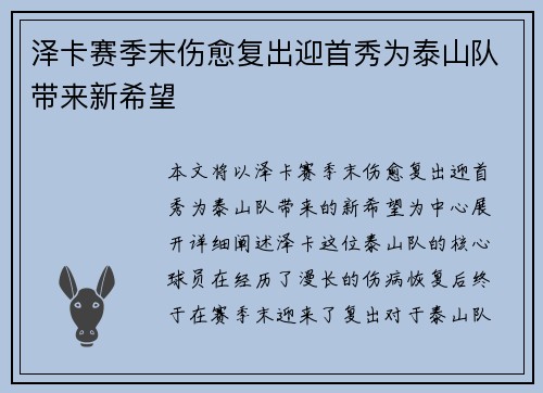 泽卡赛季末伤愈复出迎首秀为泰山队带来新希望